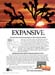 AMEX